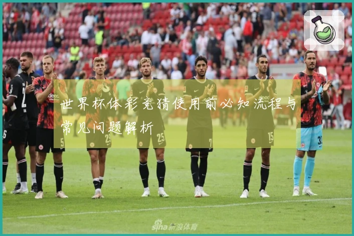 世界杯体彩竞猜使用前必知流程与常见问题解析