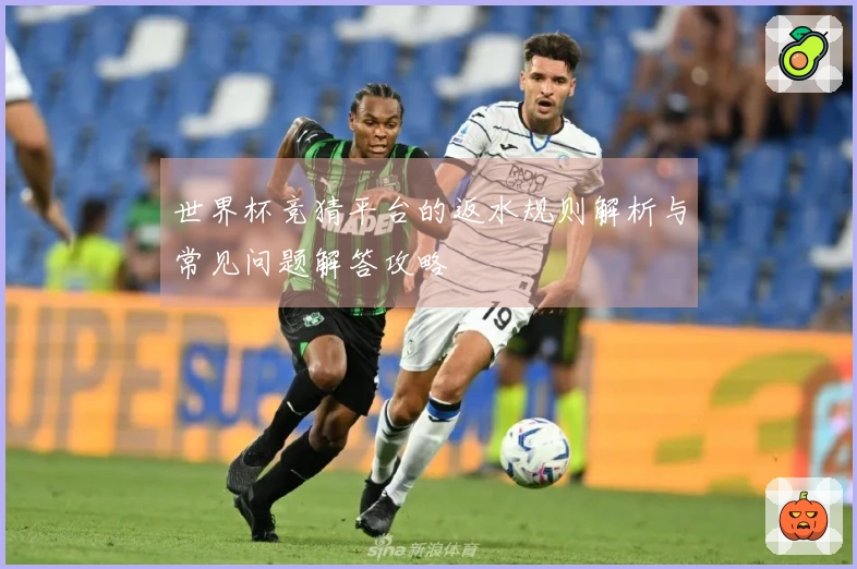 世界杯竞猜平台的返水规则解析与常见问题解答攻略