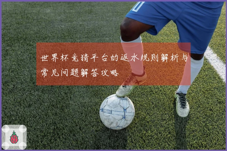 世界杯竞猜平台的返水规则解析与常见问题解答攻略