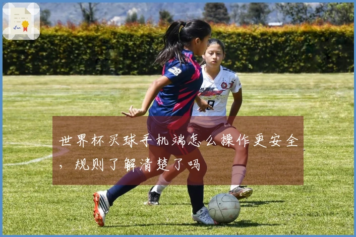 世界杯买球手机端怎么操作更安全，规则了解清楚了吗